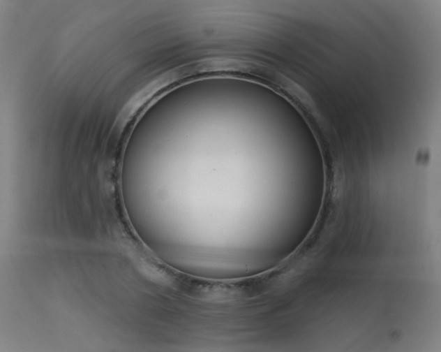 X0000113360786200909221158