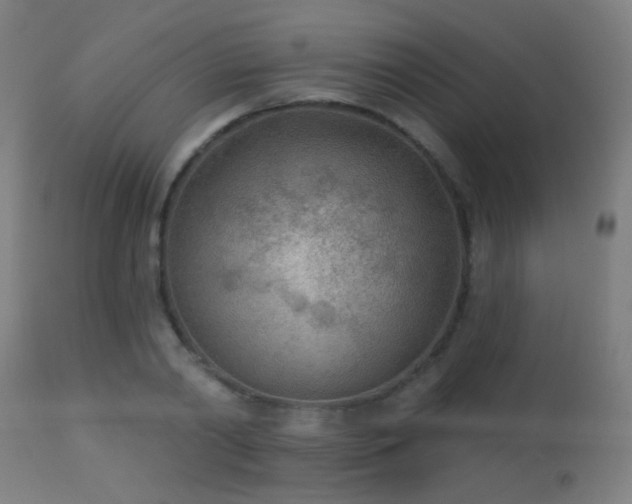 X0000113360790200909221158