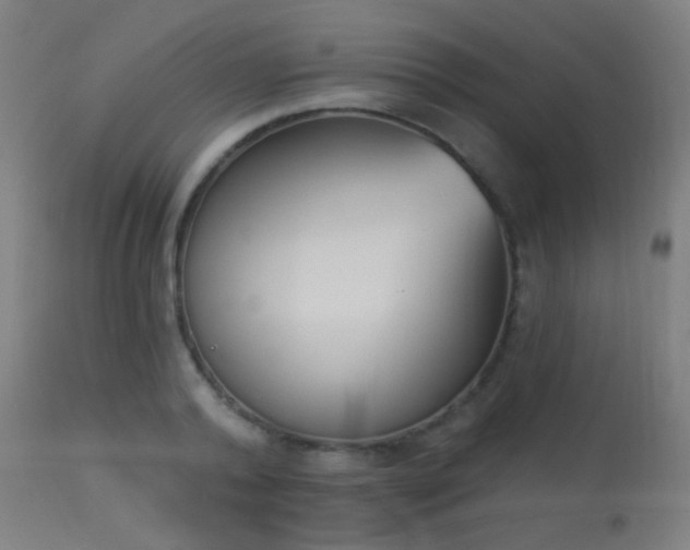 X0000113360792200909221158