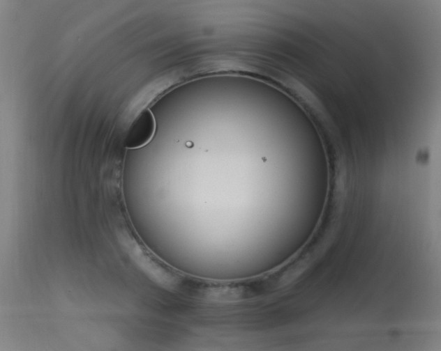 X0000113360793200909221158