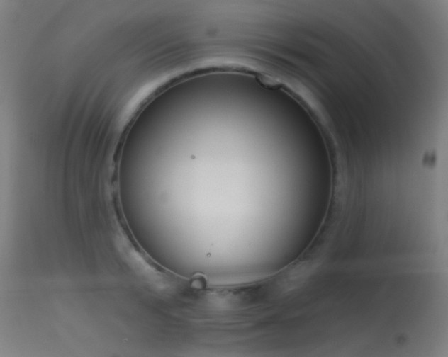 X0000113360799200909221158
