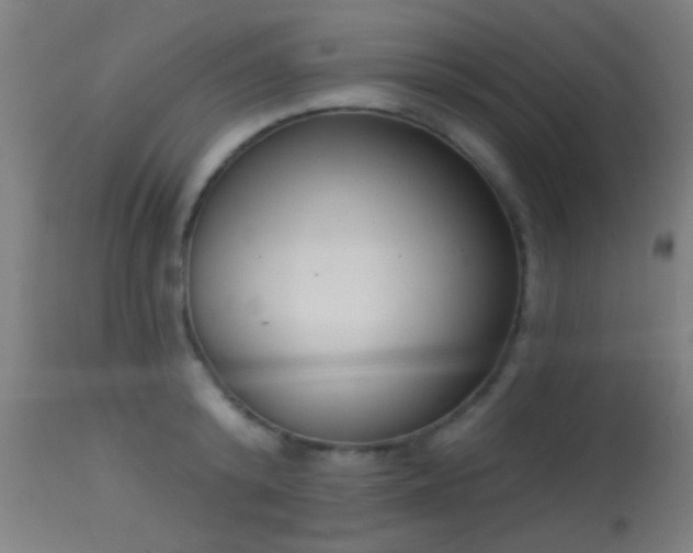 X0000113360800200909221158