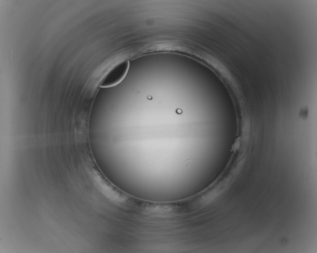 X0000113360801200909221158