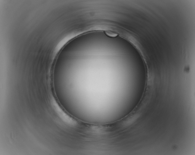 X0000113360803200909221158