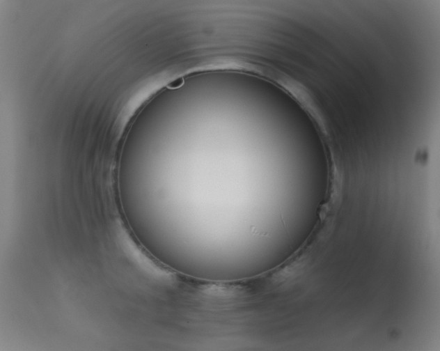 X0000113360805200909221158