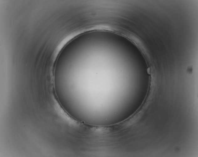 X0000113360808200909221158