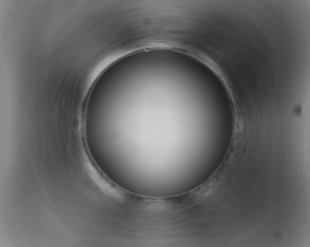 X0000113360811200909221158