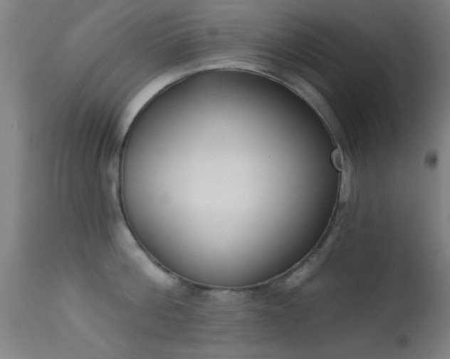 X0000113360812200909221158