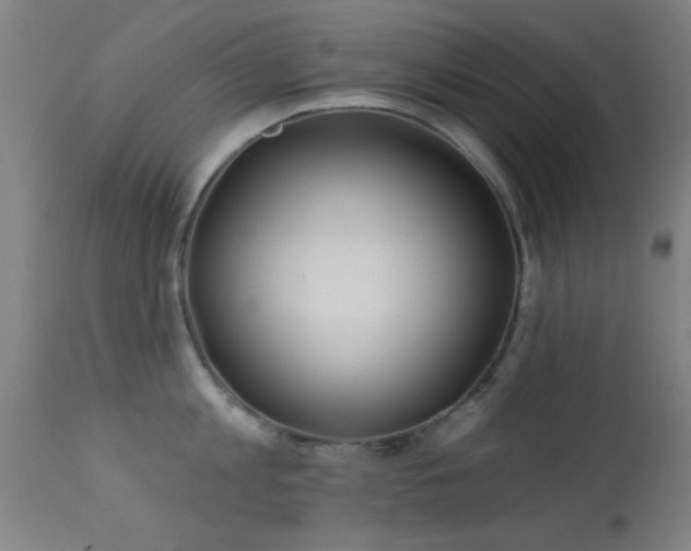 X0000113360813200909221158