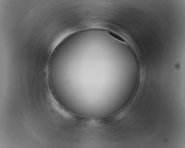 X0000113360814200909221158