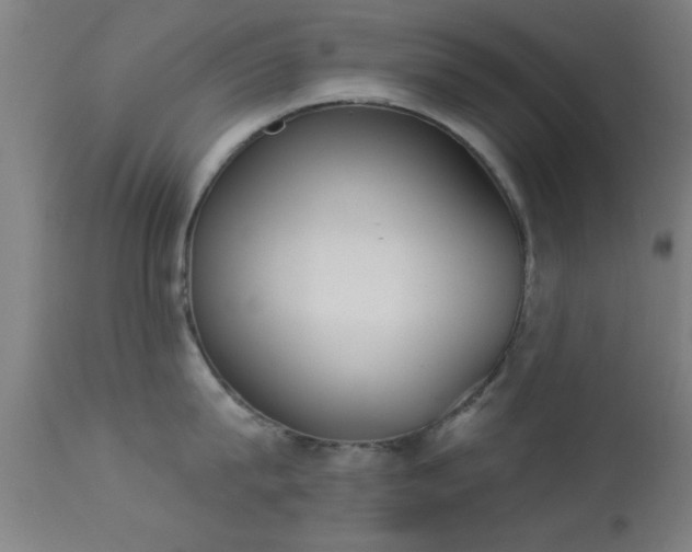 X0000113360815200909221158
