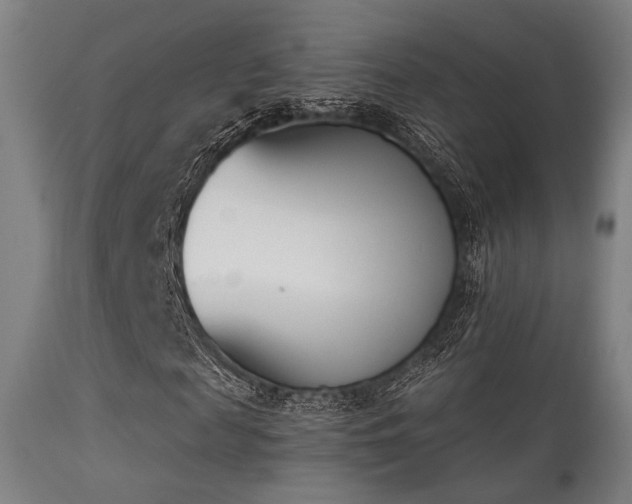 X0000113360817200909221157