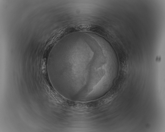 X0000113360818200909221157