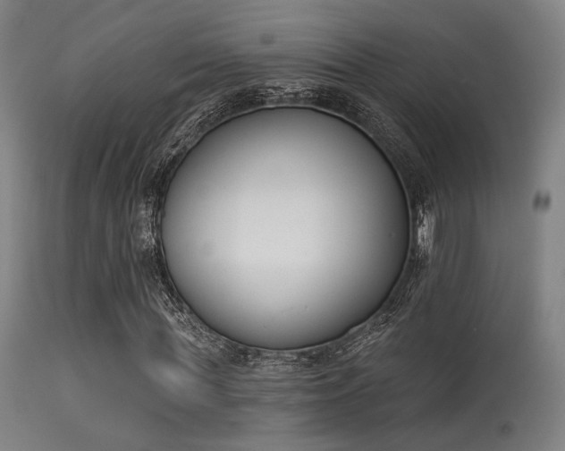 X0000113360819200909221157