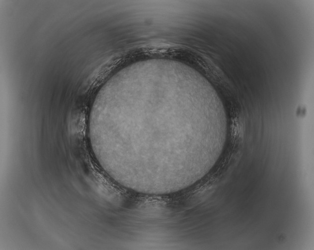 X0000113360820200909221157