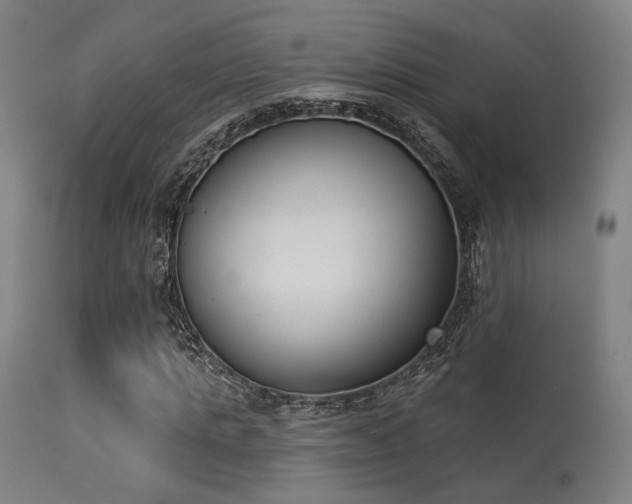 X0000113360821200909221157