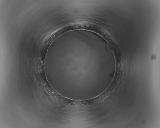 X0000113360822200909221157