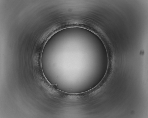 X0000113360825200909221157