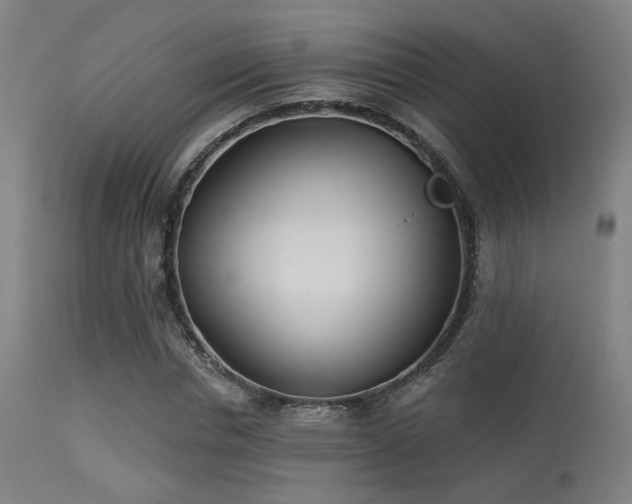 X0000113360826200909221157