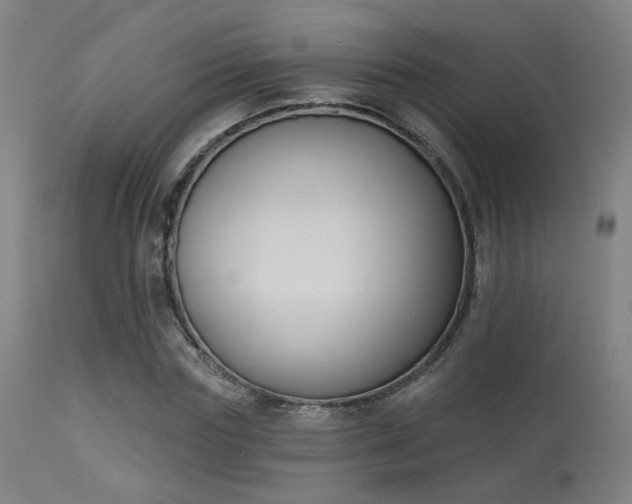 X0000113360827200909221157