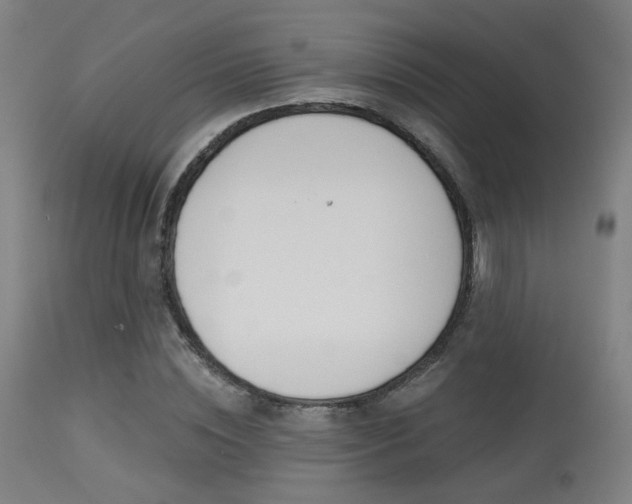X0000113360828200909221157