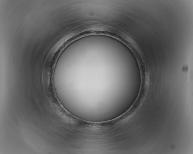 X0000113360829200909221157