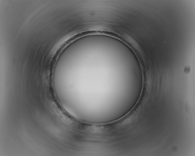 X0000113360831200909221157