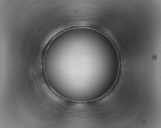 X0000113360835200909221157