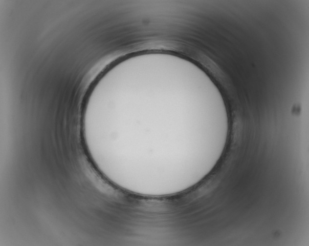 X0000113360836200909221157