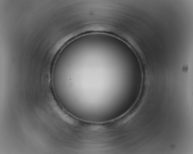 X0000113360837200909221157