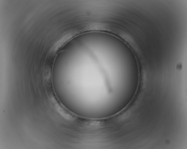 X0000113360841200909221157