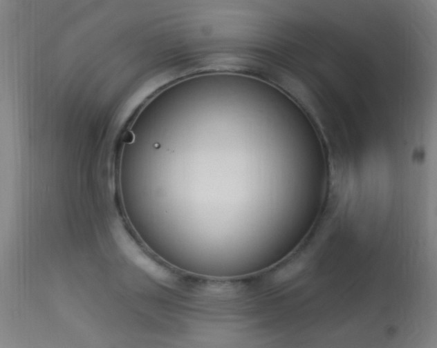 X0000113360843200909221157