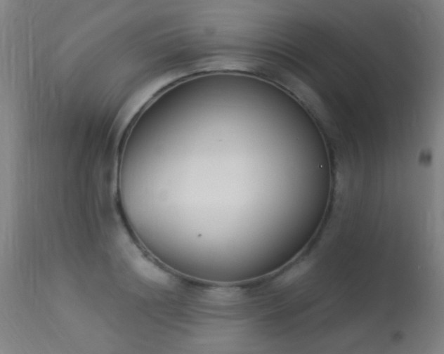 X0000113360844200909221157