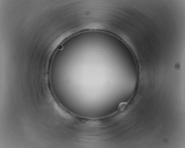 X0000113360845200909221157