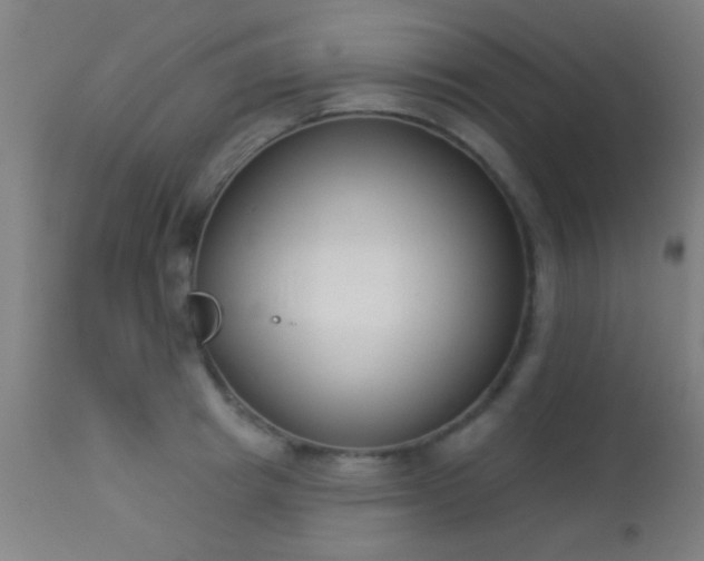 X0000113360849200909221157