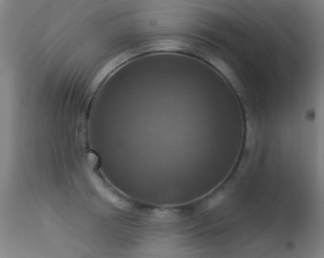 X0000113360850200909221157