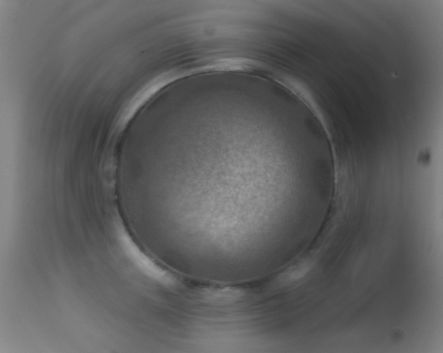 X0000113360851200909221157