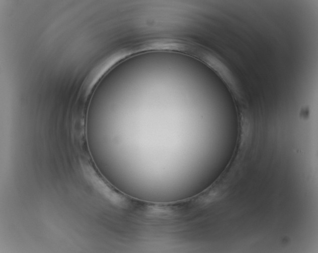 X0000113360852200909221157