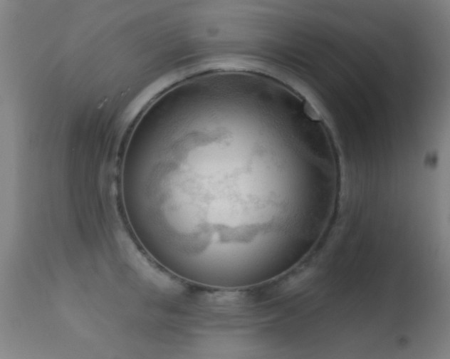 X0000113360853200909221157