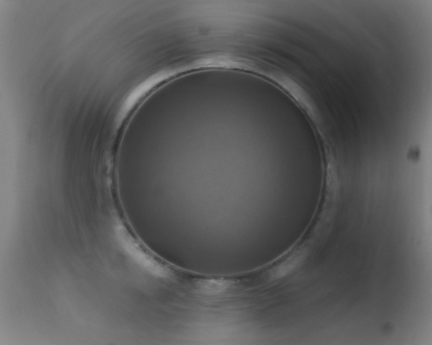 X0000113360854200909221157