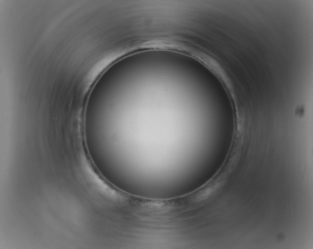 X0000113360855200909221157