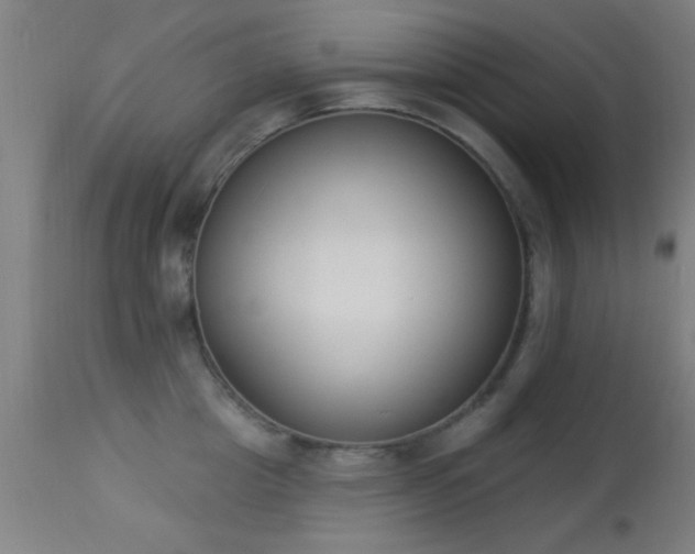 X0000113360857200909221158