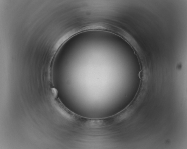 X0000113360858200909221158