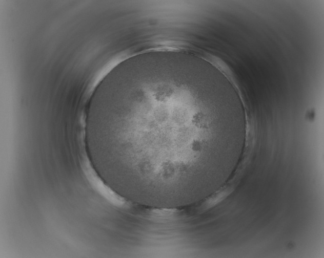 X0000113360859200909221158