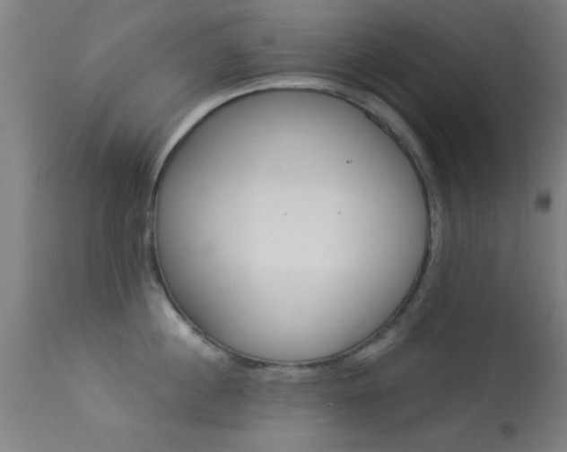 X0000113360860200909221158