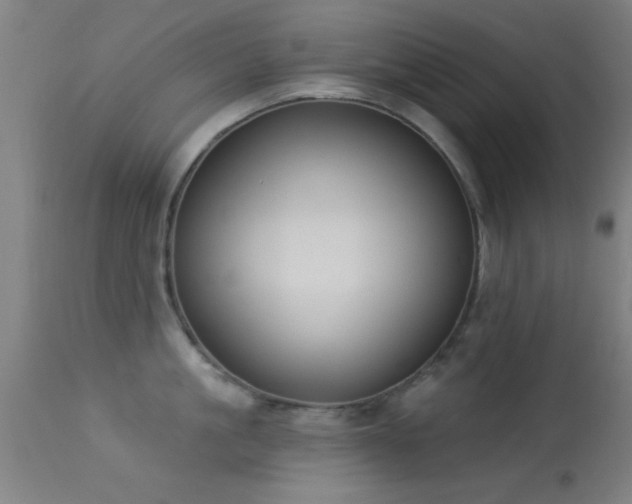 X0000113360861200909221158