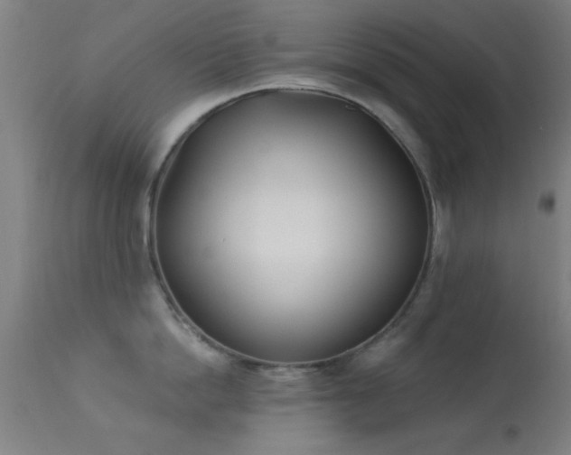 X0000113360862200909221158