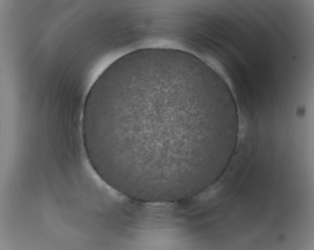X0000113360863200909221158