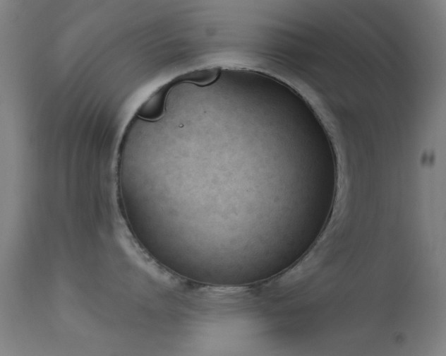 X0000113360864200909221158