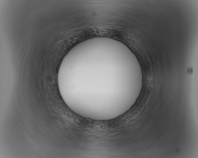 X0000113360865200909221157